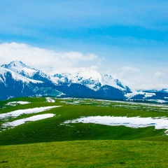 南山