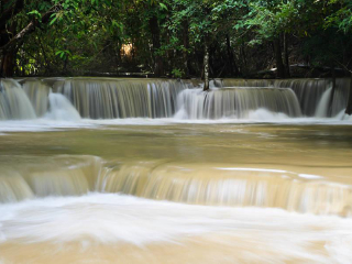 库兰达热带雨林公园