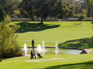 珀斯国王公园