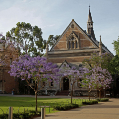 阿德莱德大学