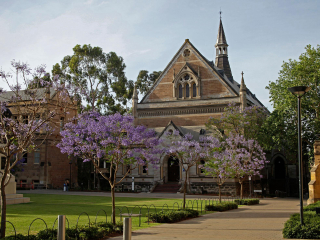 阿德莱德大学