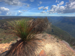 瓦塔卡国王峡谷国家公园