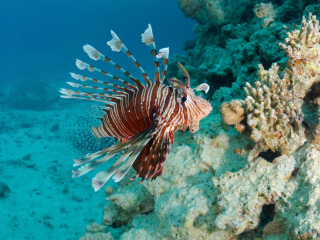 昆士兰海底世界