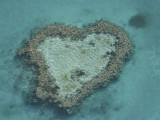 昆士兰海底世界