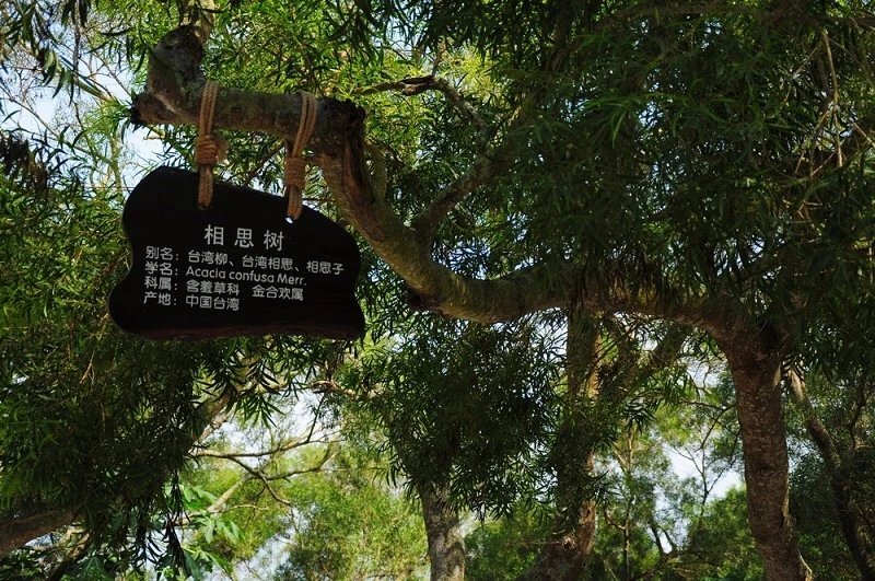 一个人去海岛浪----广西北海涠洲岛