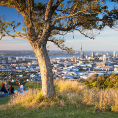 Mount Eden