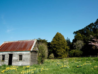棚户区历史遗址公园