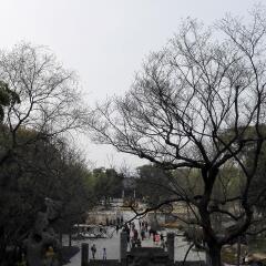 虎丘