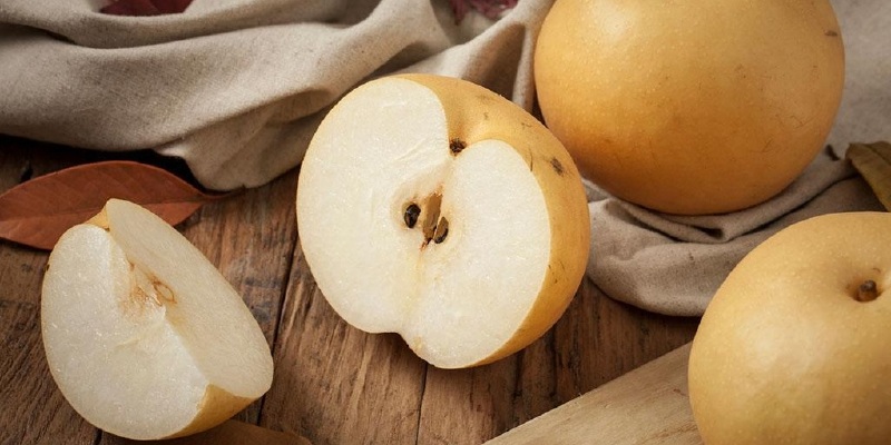 洞冠梨价格_专卖店_哪里买