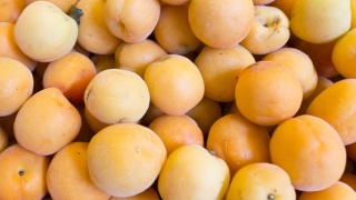 洞冠梨价格_专卖店_哪里买