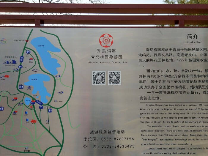 探春#赏花寻梅十梅庵---青岛第十九届梅花节