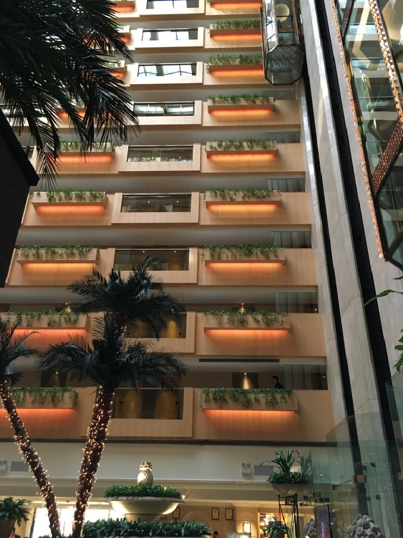 当观光电梯平稳上升的过程中,你会发现从精致婉约的小桥流水一下跃入