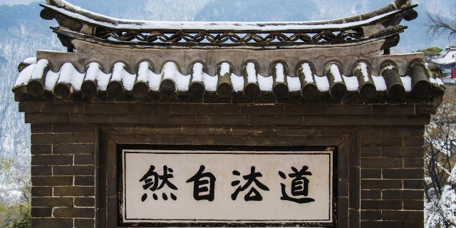 亮点图片
