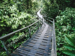 西必洛猿人保护区