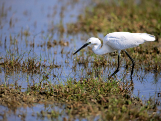 本达拉国家公园
