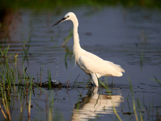 本达拉国家公园
