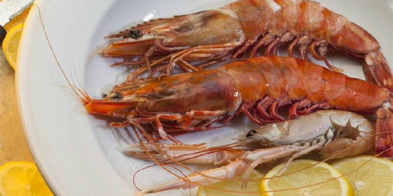 对虾_兴城市特色美食_兴城市小吃_途牛