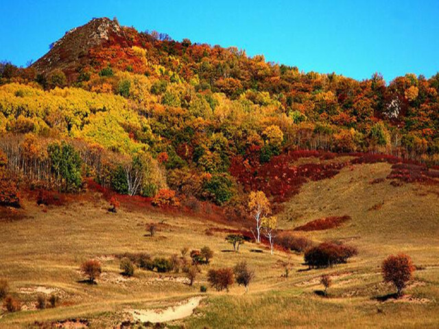  木兰围场-塞罕坝-乌兰布统草原双汽3日游>纯玩0购物,草原住宿全面