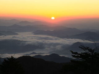 枫林谷森林公园