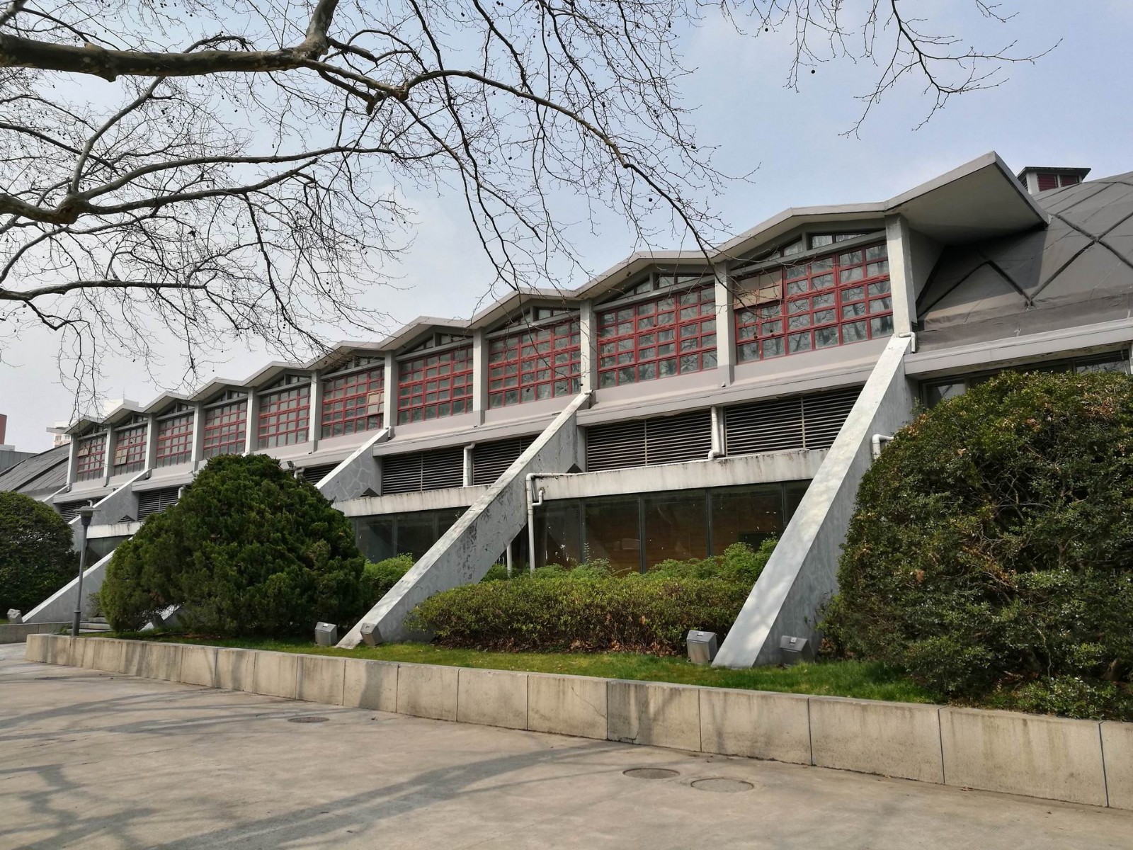 1天同济大学最美校园春游玩法