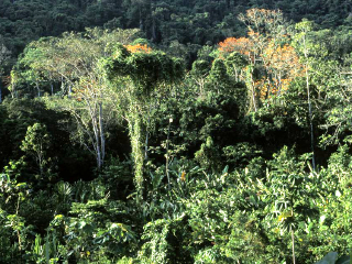 乌鲁淡布隆国家公园