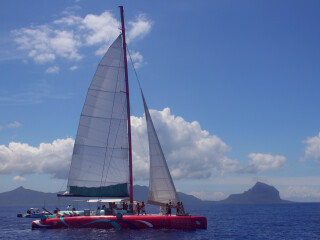 毛里求斯海豚湾