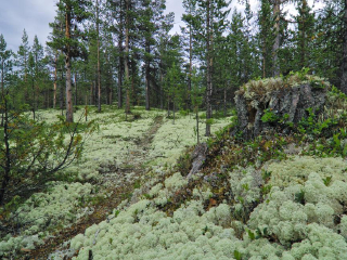 尤通黑门国家公园