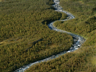 萨勒克国家公园