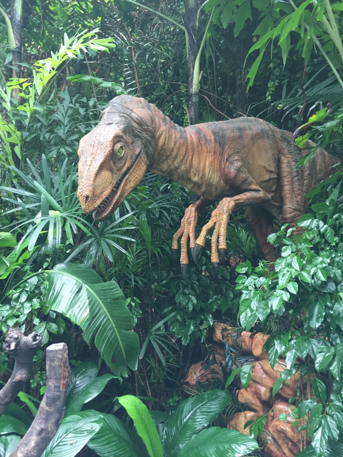 长隆野生动物园一日游攻略