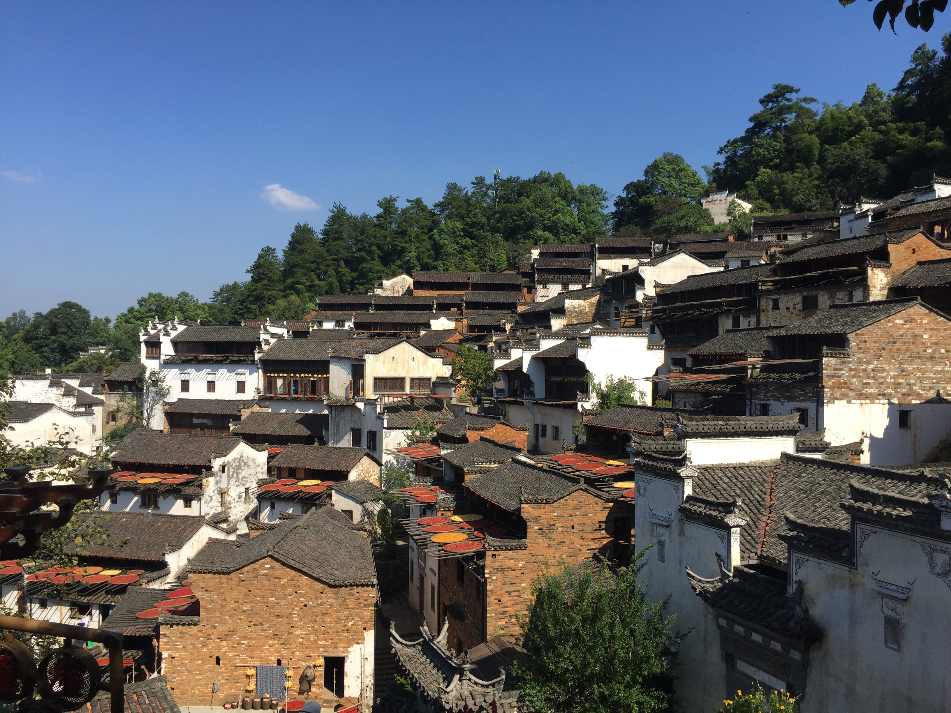 婺源巴士3日游>天天发,2晚舒适酒店含双早(可升级挂四挂五住宿,篁岭