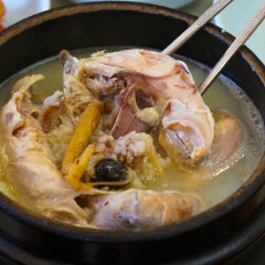 鸡煲