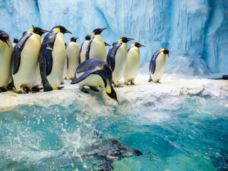 珠海长隆国际海洋度假区