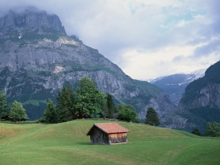 格林德尔瓦尔德