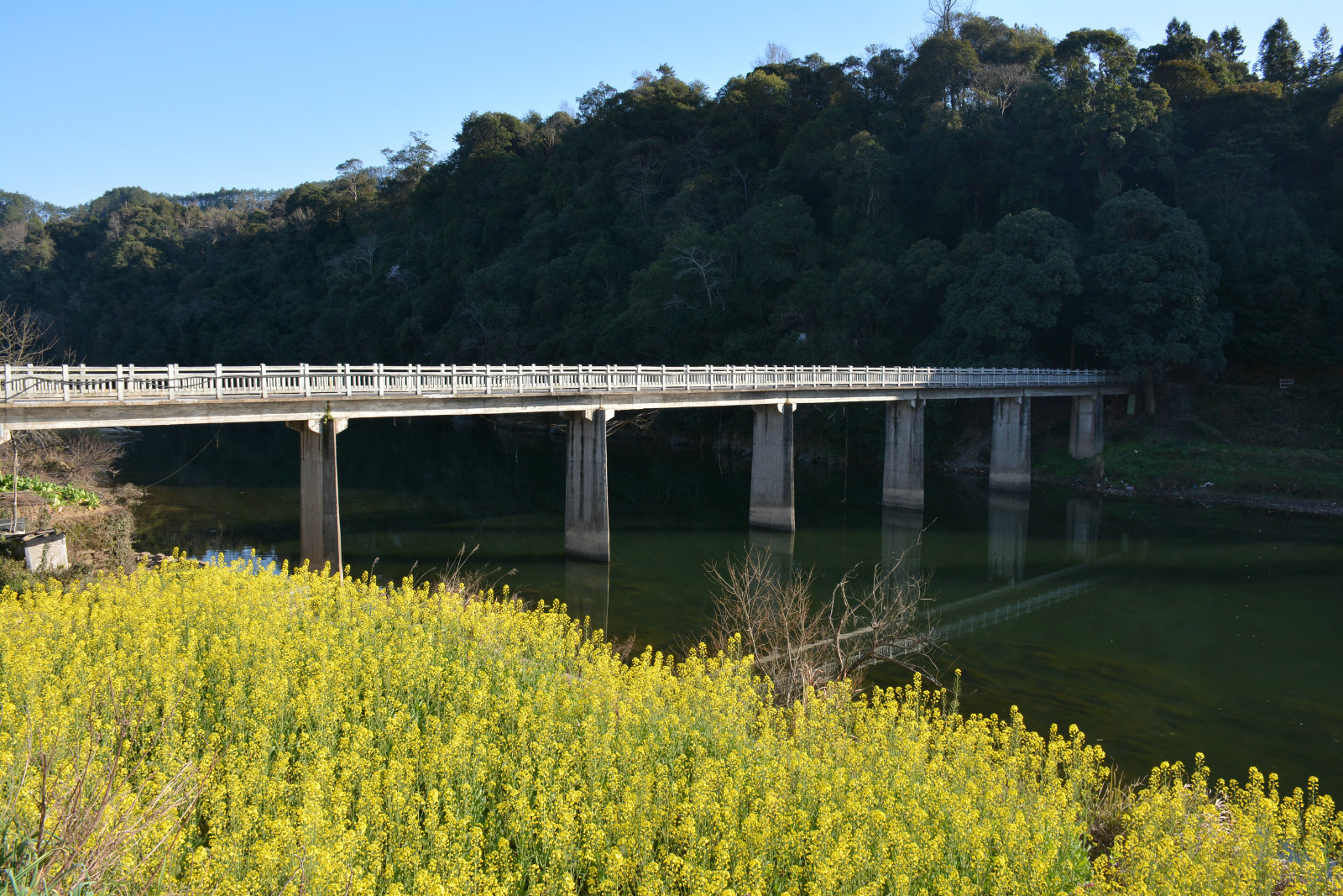 【婺源4日自驾亲子游】13个月雪姑娘的最美乡村游---汪口