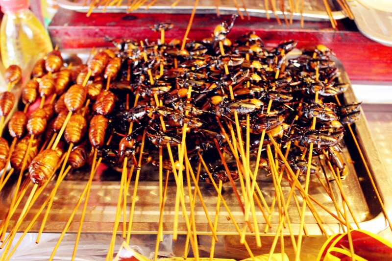 街子古镇                     油炸笋子虫