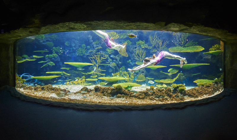 当南昌遇见海 神奇的水下世界等你来呦_南昌万达海洋乐园游记_途牛