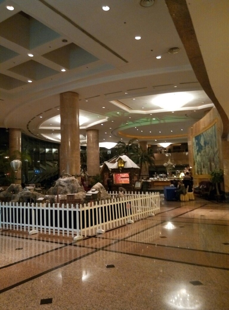 南京维景国际大酒店