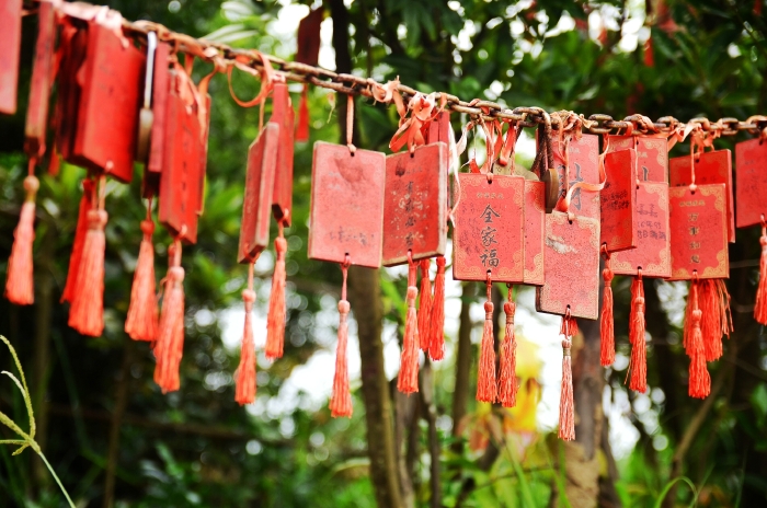 在挂满许愿牌的许愿树下许一个心愿吧!