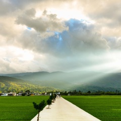 茈碧湖