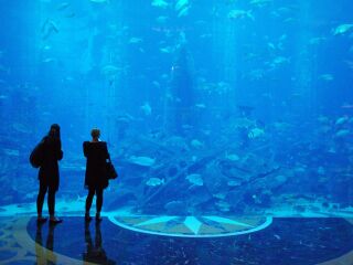 大溪地澙湖水族馆