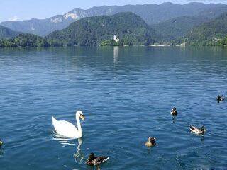 圣克里斯托瓦尔山