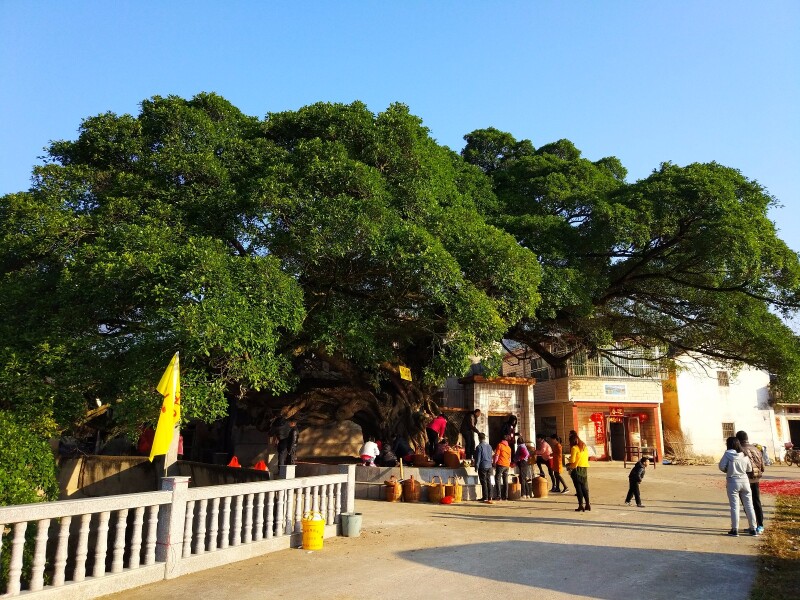 1天梅州蕉岭长寿村乡村玩法