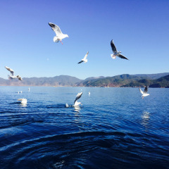 泸沽湖