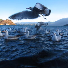 泸沽湖