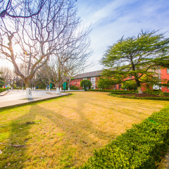 复旦大学