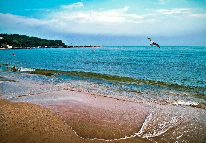 5公里的海岸线上,沙滩和礁石,相互交错;海湾和岬角,依次排开.