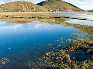 香格里拉纳帕海