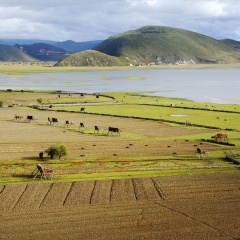 香格里拉纳帕海