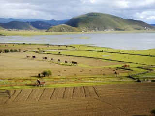 香格里拉纳帕海
