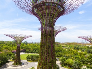 滨海湾花园
